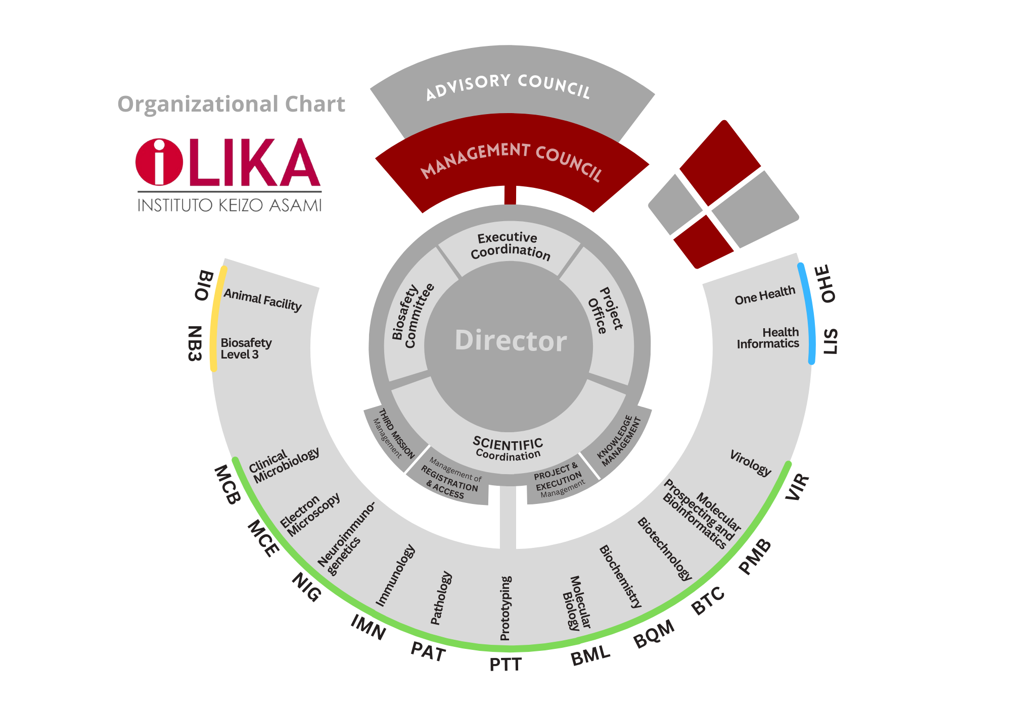 Organizational Chart - iLIKA 2025
