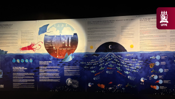 Exposição Terra-Mar é inaugurada na França e chega a Recife em outubro